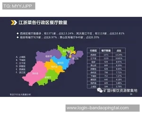 2026年3月份新闻杭州网球队战术表现深度解析与数据分析报告